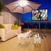 Portable Tripod TV Stand For 23" To 60" TVs