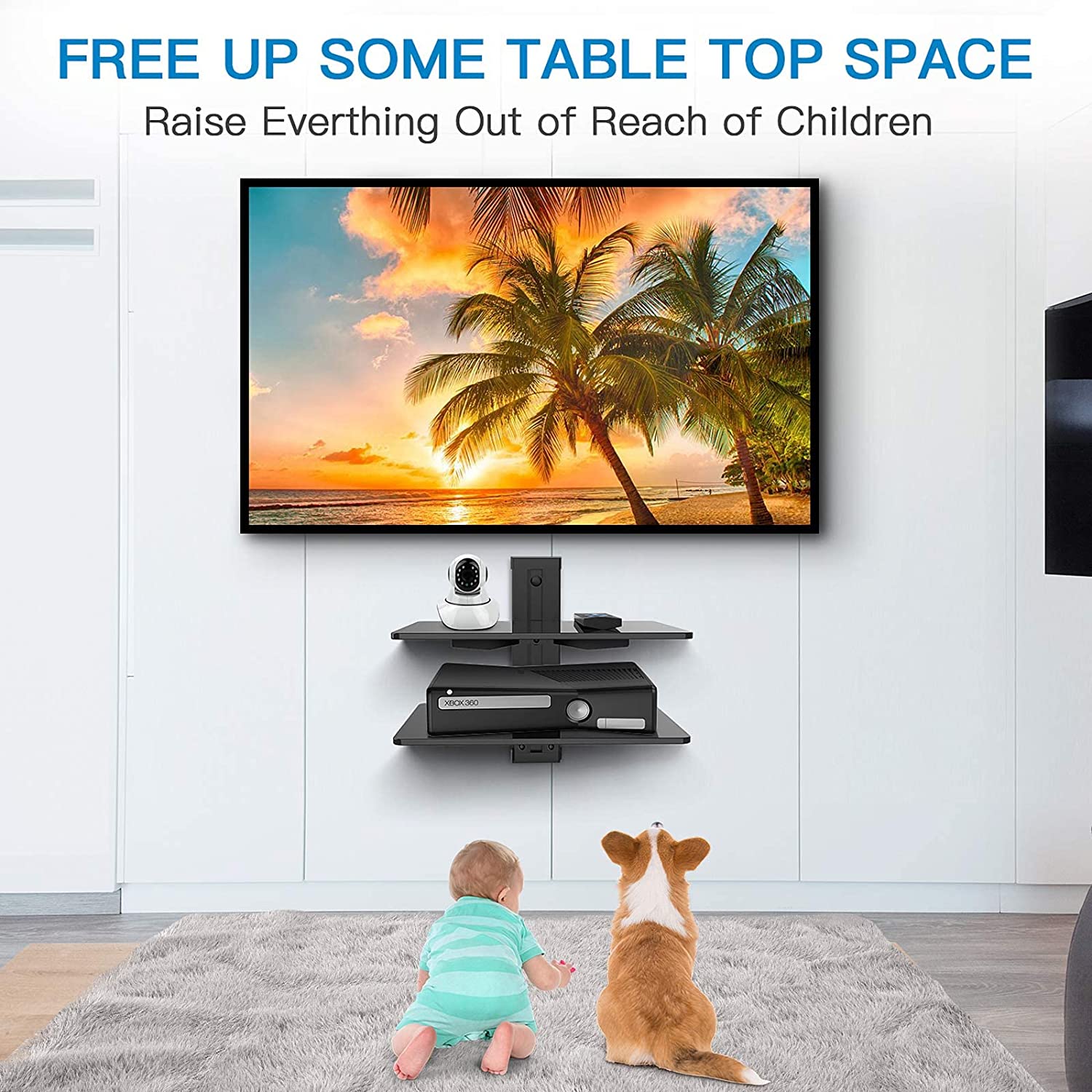 Wall Mounted AV Shelf (Set of 2)
